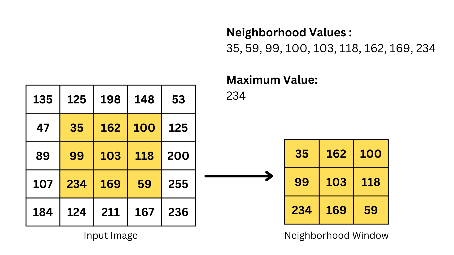 Max Filter in Image Processing Process